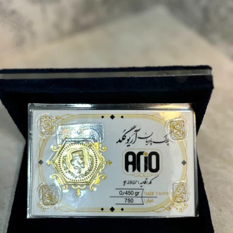 سکه پارسیان (آریوگلد) 450 سوت 18 عیار( ارسال رایگان)