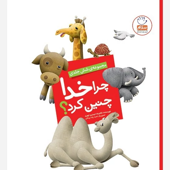 کتاب چرا خدا چنین کرد  نوشته غلامرضا حیدری ابهری نشر جمال