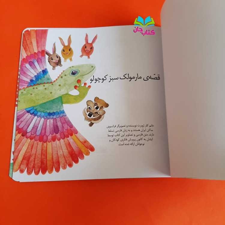 کتاب قصه ی مارمولک سبز کوچولو نوشته خانم کلرژوبرت انتشارات کانون پرورش فکری کودکان و نوجوانان