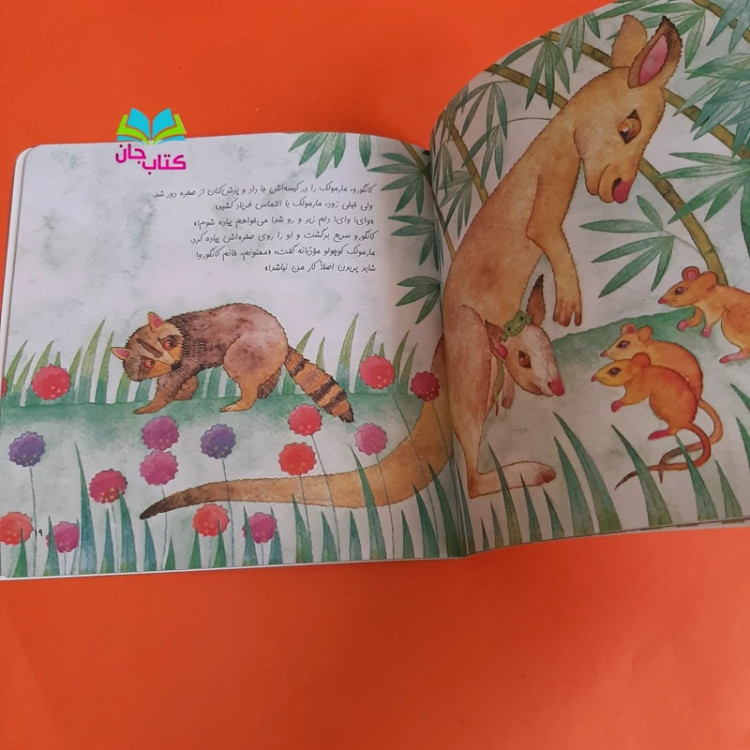 کتاب قصه ی مارمولک سبز کوچولو نوشته خانم کلرژوبرت انتشارات کانون پرورش فکری کودکان و نوجوانان