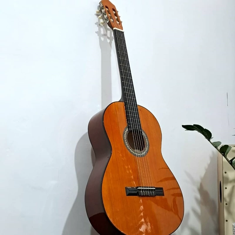 گیتار c70 طرح گیتار یاماها همراه با سافت کیس ضد ضربه رایگان و مضراب رایگان