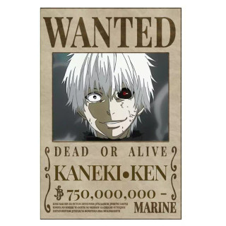 پوستر مدل تحت تعقیب انیمه توکیو غول Tokyo ghoul طرح کانکی Kaneki کد 402