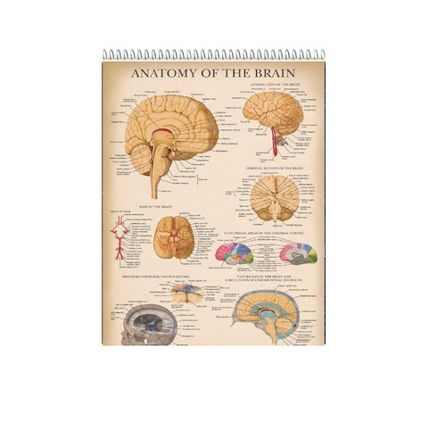 دفتر شطرنجی 100 برگ طرح پزشکی کد 61