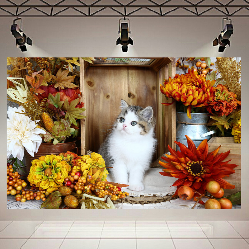 پوستر طرح گربه مدل Kitty کد AR17670