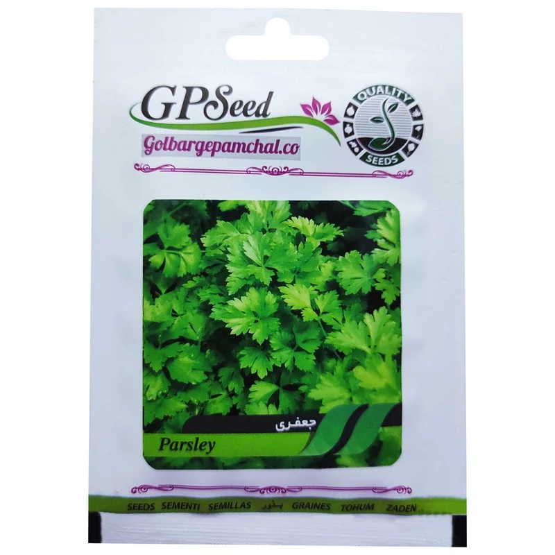 بذر جعفری گلبرگ پامچال کد GPF-149