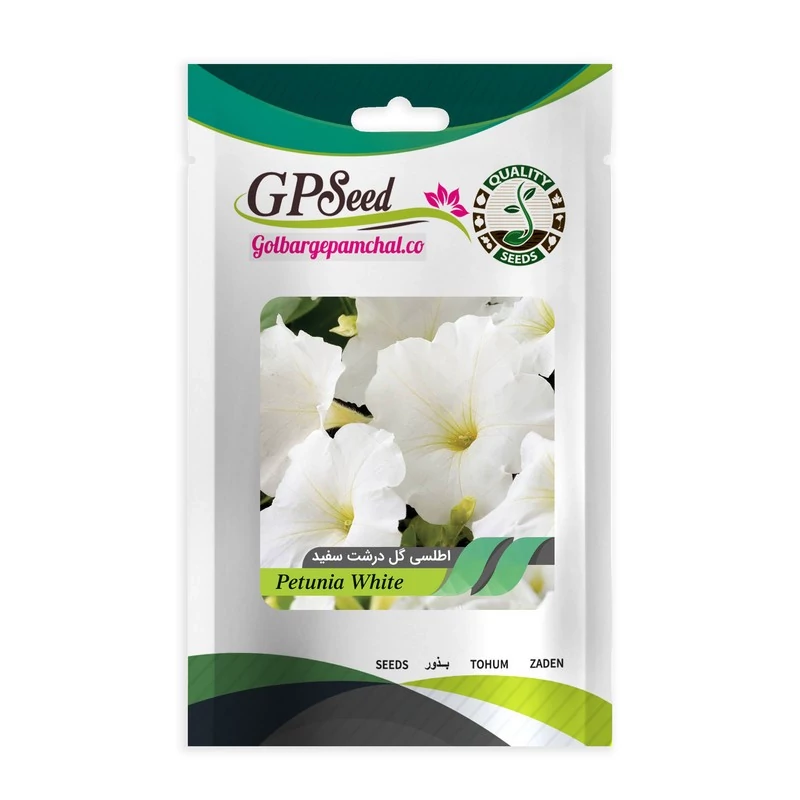 بذر گل اطلسی ایرانی گل درشت پرگل تک رنگ سفید گلدانی گلبرگ پامچال کد GPF-021