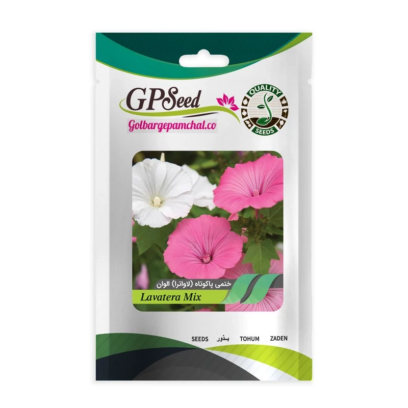 بذر گل ختمی پا کوتاه لاواترا الوان گلبرگ پامچال کد GPF-048