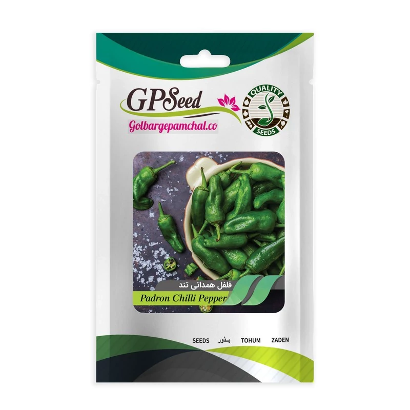 بذر فلفل همدانی تند گلبرگ پامچال کد GPF-325
