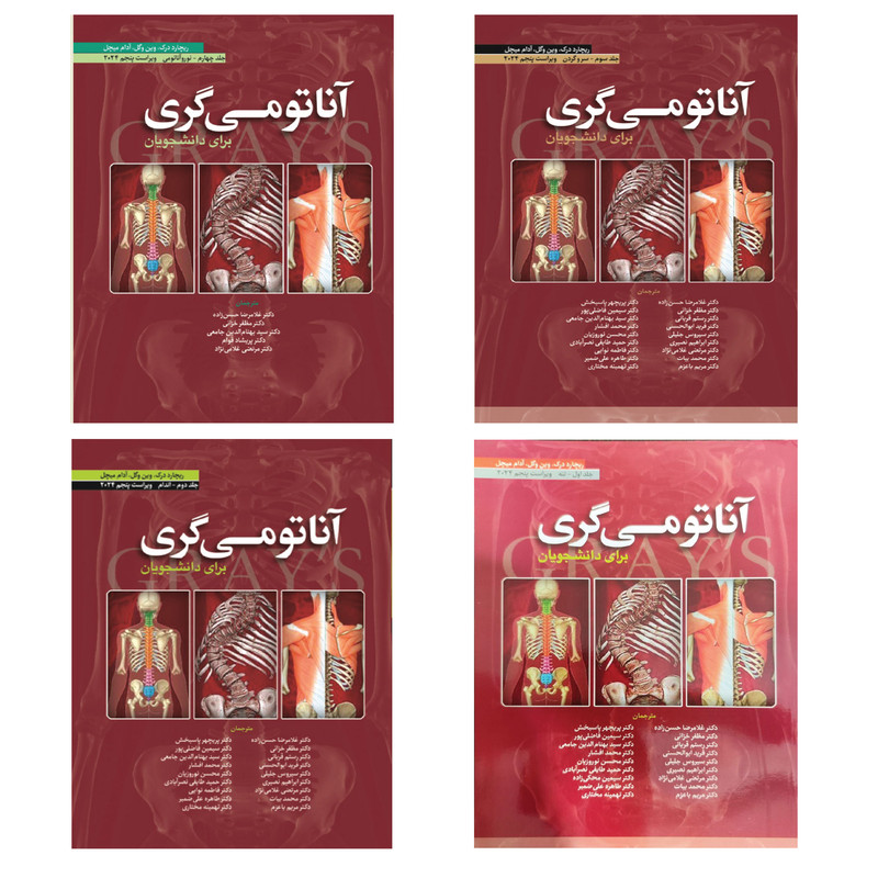 کتاب آناتومی گری برای دانشجویان 2024 اثر جمعی از نویسندگان انتشارات ابن سینا 4 جلدی