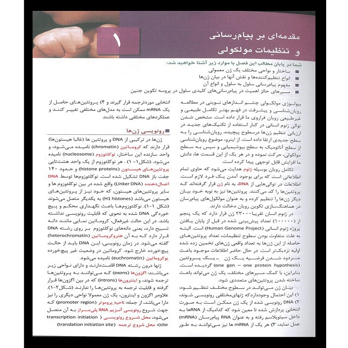 کتاب جنین شناسی پزشکی لانگمن 2019 اثر توماس سادلر انتشارات اشراقیه