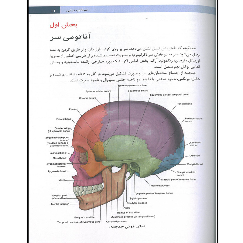 کتاب اسکالپ تراپی طب سوزنی سر اثر وانگ فوچون انتشارات اشراقیه