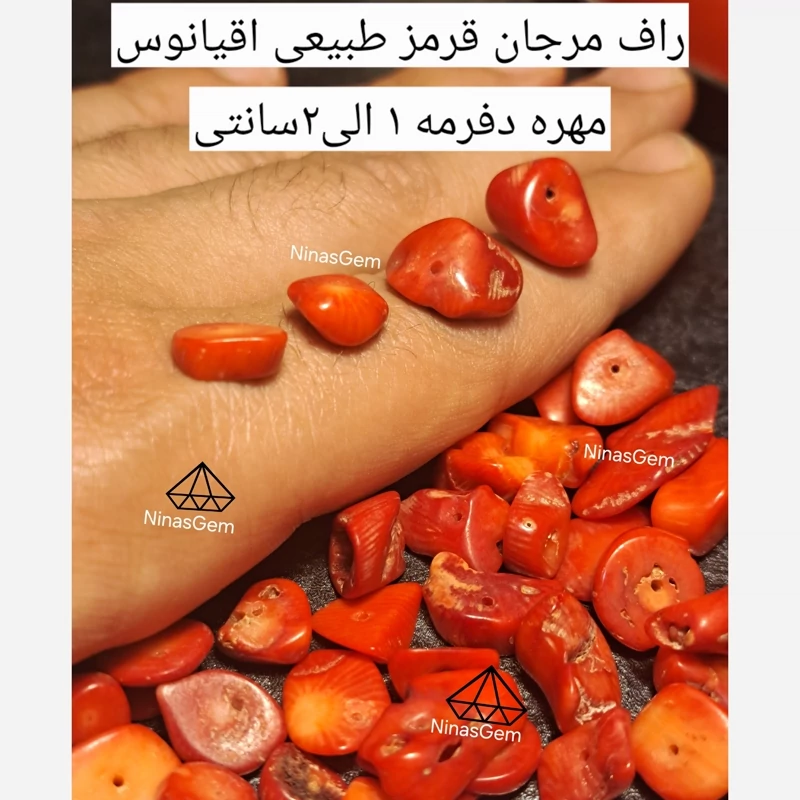 سنگ مرجان سرخ طبیعی اقیانوس چوب مرجان قرمز مهره چیپسی مرجان سرخ مهره مرجان سرخ مهره مرجان قرمز سنگ ریشه سنگ ماه تولد