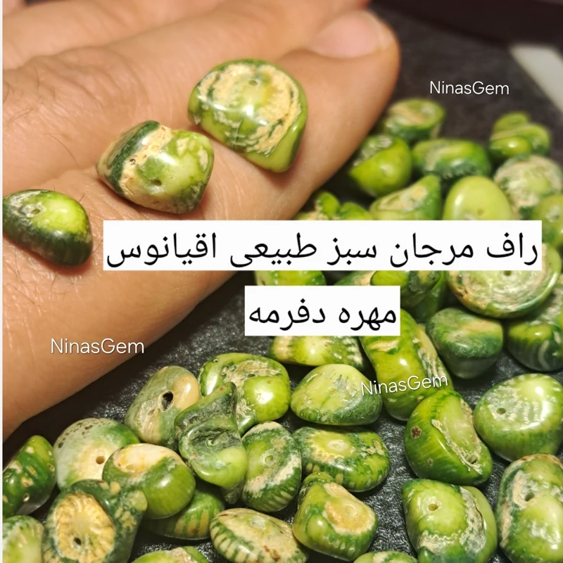 سنگ مرجان سبز طبیعی فسیل چوب سبز دریا مهره چیپسی مرجان سبز مهره سبز مرجان مهره مرجان سبز سنگ ریشه سنگ ماه تولد اصلی