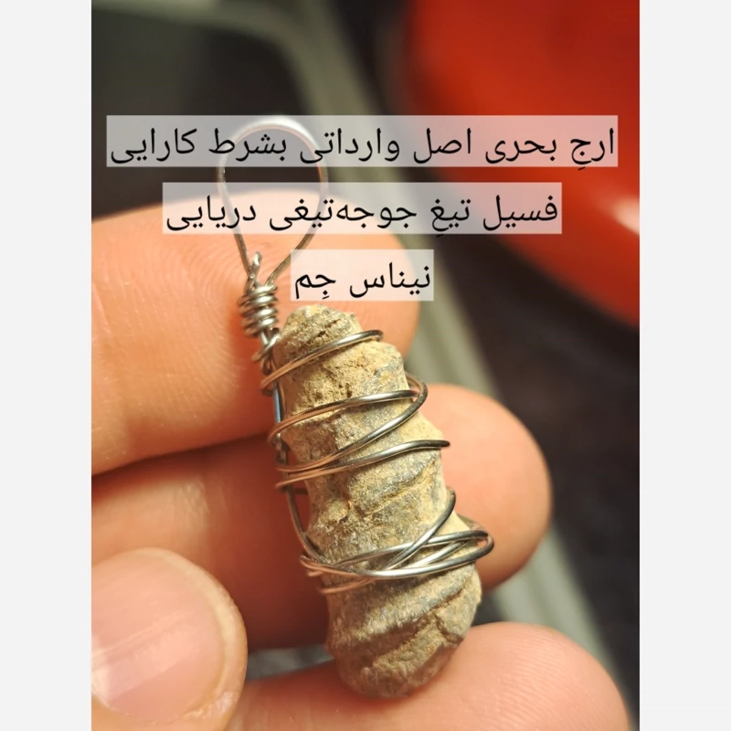 فسیل ارج سواحل اماراتی اصل پلاک ارج سواحل ارج بحری طبیعی ارج دریایی اصل سنگ عرج سواحل اصل اویز ارج عربی اویز ارج سواحل