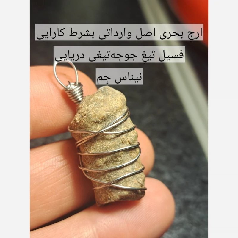 فسیل ارج سواحل اماراتی اصل پلاک ارج سواحل ارج بحری اصل ارج دریایی اصل سنگ عرج سواحل اصل اویز ارج عربی اویز ارج سواحل کرج