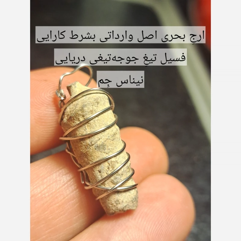 فسیل ارج سواحل اماراتی اصل پلاک ارج سواحل ارج بحری اصل ارج دریایی اصل سنگ عرج سواحل اصل اویز ارج عربی اویز ارج سواحل