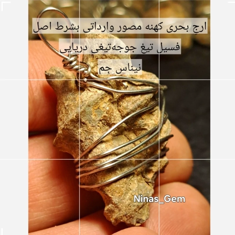فسیل ارج سواحل افریقایی اصل پلاک ارج سواحل ارج بحری اصل ارج دریایی اصل سنگ عرج سواحل اصل ارج سواحل اب شور اویز ارج سواحل