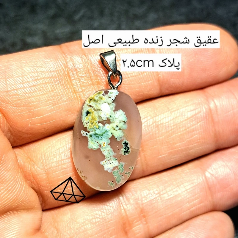 پلاک عقیق شجر بهاری بینظیر طبیعی و بشرط اویز عقیق شجره دار اویز عقیق درختی اصل پلاک سنگ عقیق سنگ فروشی نیناس جم در کرج