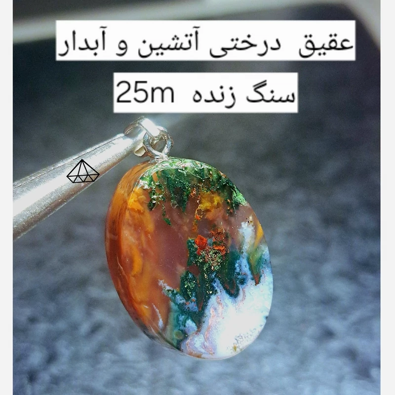 پلاک عقیق آتشین طبیعی و بشرط اویز عقیق شجره دار اویز عقیق درختی اصل اویز عقیق شجره پاییزه پلاک سنگ عقیق سنگفروشی نیناسجم