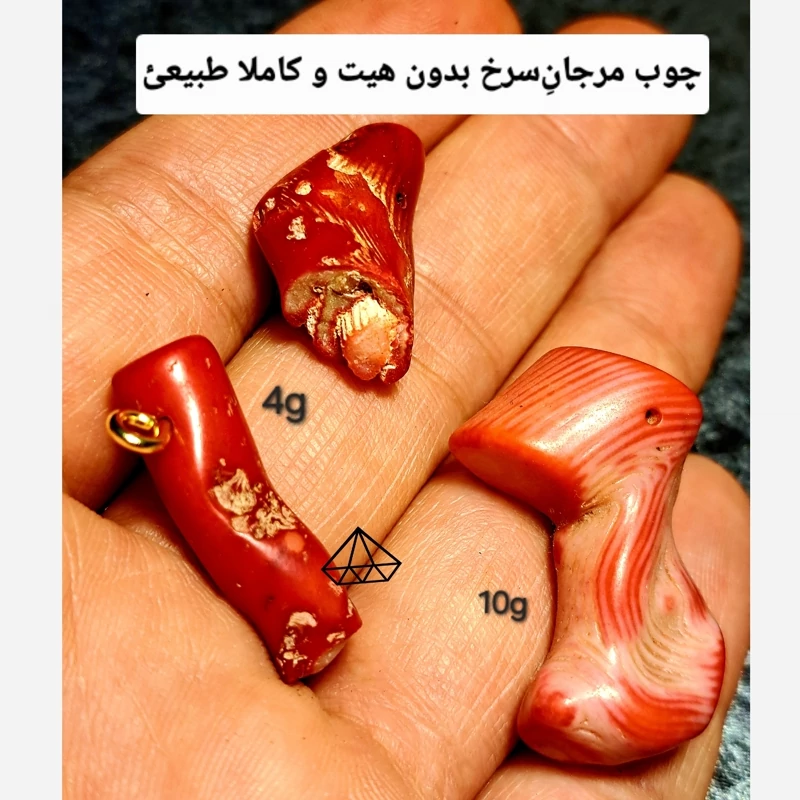 مهره چوب مرجان اصلی بشرط  فسیل مرجان سرخ اویز مرجان قرمز مرجان دریای سرخ سنگ ریشه سنگ قرمز قیمتی سنگ مرجان اصل نیناسجم