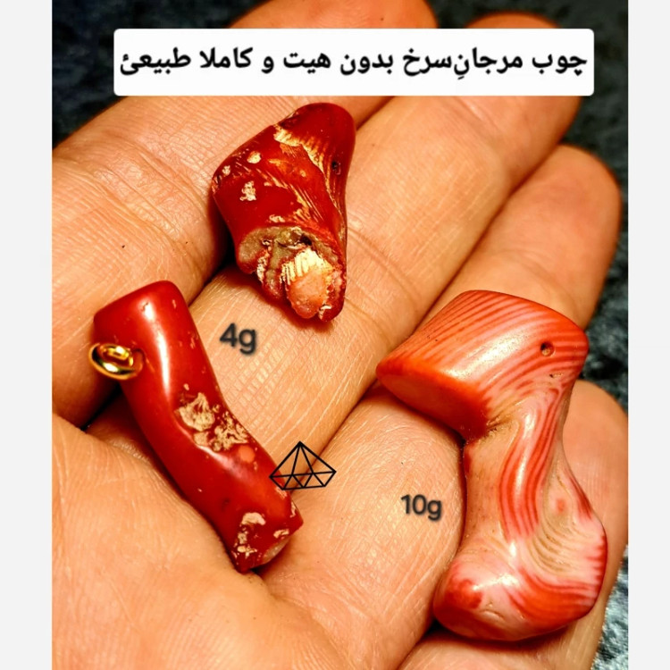 مهره چوب مرجان اصلی بشرط فسیل مرجان سرخ اویز مرجان قرمز مرجان دریای سرخ سنگ ریشه سنگ قرمز قیمتی سنگ مرجان اصل نیناسجم