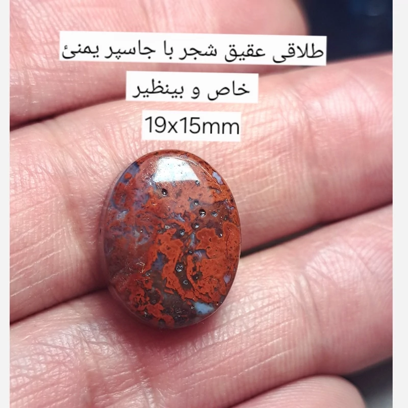 طلاقی عقیق شجر با جاسپر یمنی سرخ A42 عقیق خزه ای سرخ نگین عقیق شجر دریایی نگین جاسپر دریایی نگین سنگ انگشتر در نیناس جم
