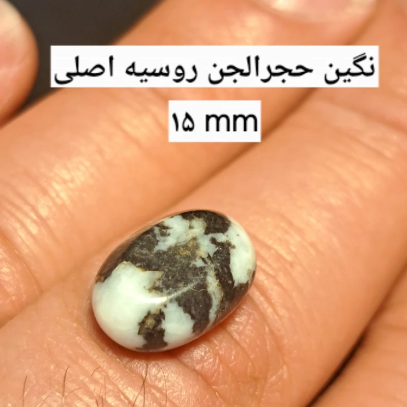 نگین سپتارین روسیه اصل عقیق سیاه سفید عقیق سفید و سیاه سنگ دفع چشم جاسپر سیاه سنگ ماه تولد خرید نگین سنگ در کرج نیناس جم