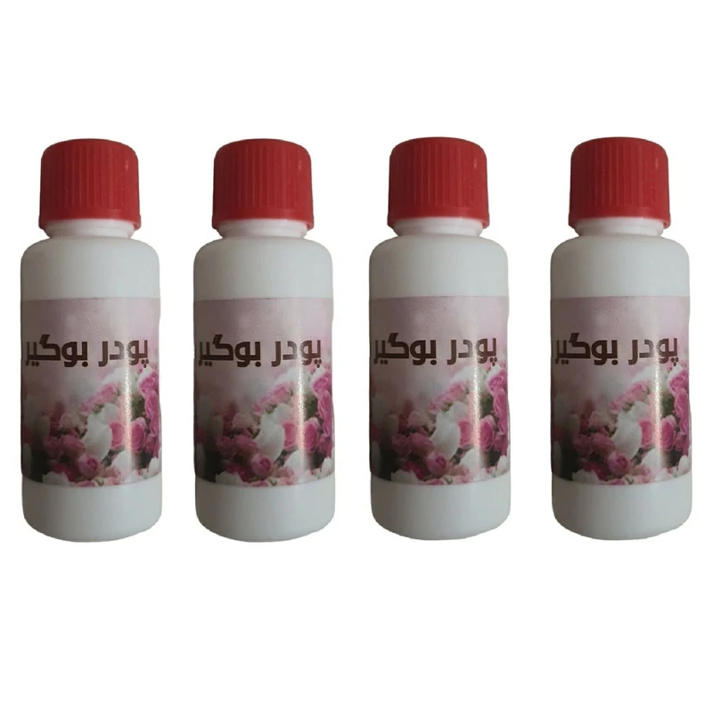 پودر بوگیر کفش مدل GiiiF4 مجموعه 4 عددی