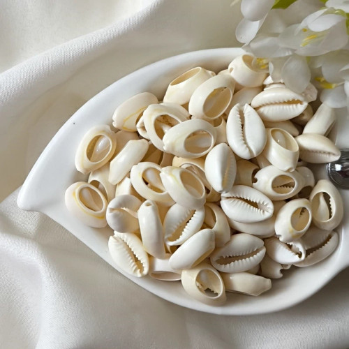صدف دریایی سیپرا سایز 2 سانتی (فروش بصورت بسته 100 عددی )