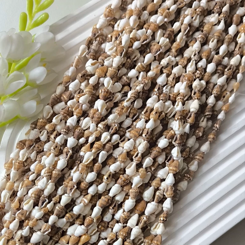 صدف گوش ماهی دریایی (اندازه هر ریسه یک متر و 40 سانت میباشد)