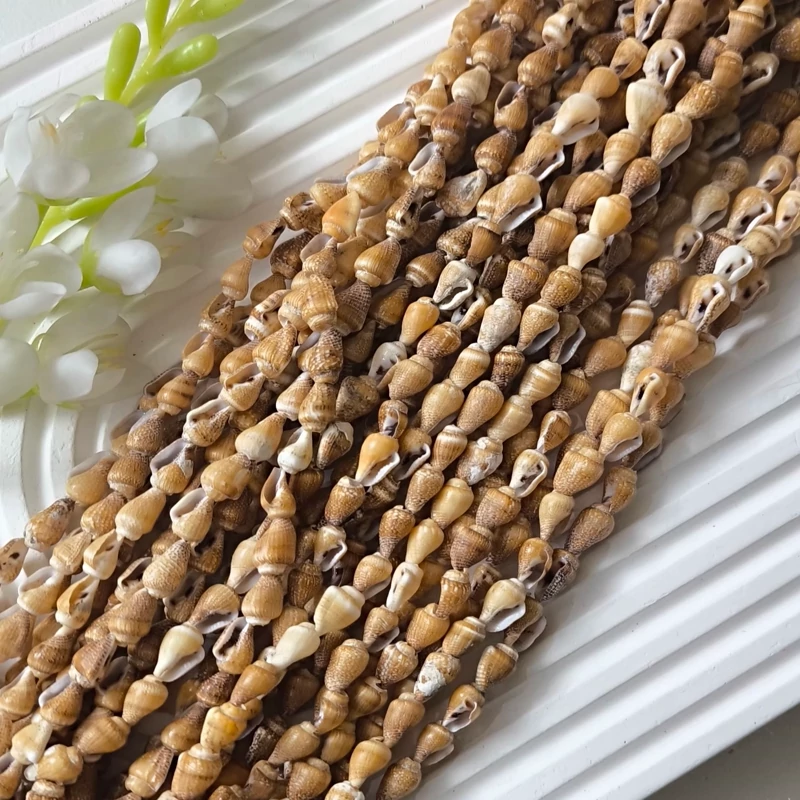 صدف گوش ماهی دریایی قهوه ای (اندازه هر ریسه 90 سانت میباشد)
