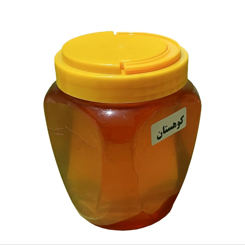 عسل کوهستان 5ستاره فدک (پک 10 عددی )