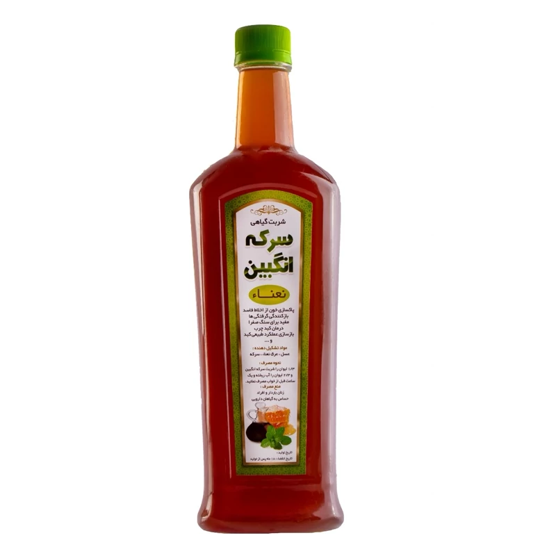 سرکه انگبین نعنایی 5ستاره فدک (پک دوتایی)