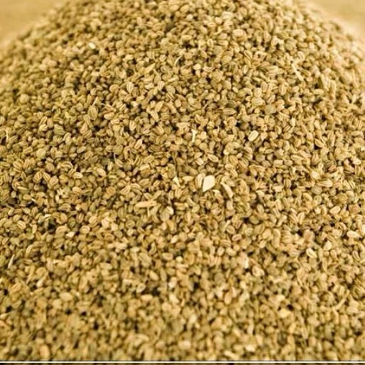 تخم کرفس ممتاز فدک (100 گرم)