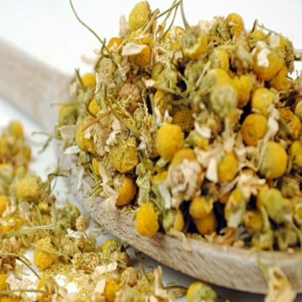 گیاه بابونه شیرین فدک (500 گرم)
