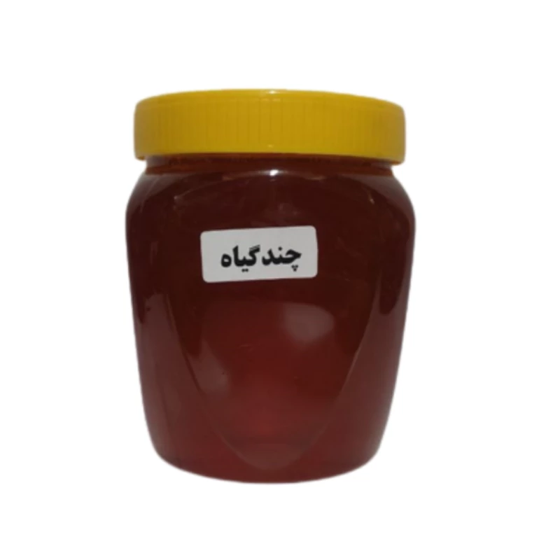 عسل چندگیاه 5ستاره فدک (1کیلوباظرف)