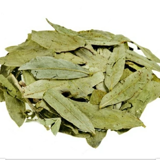 گیاه برگ سنا فدک (70گرم)
