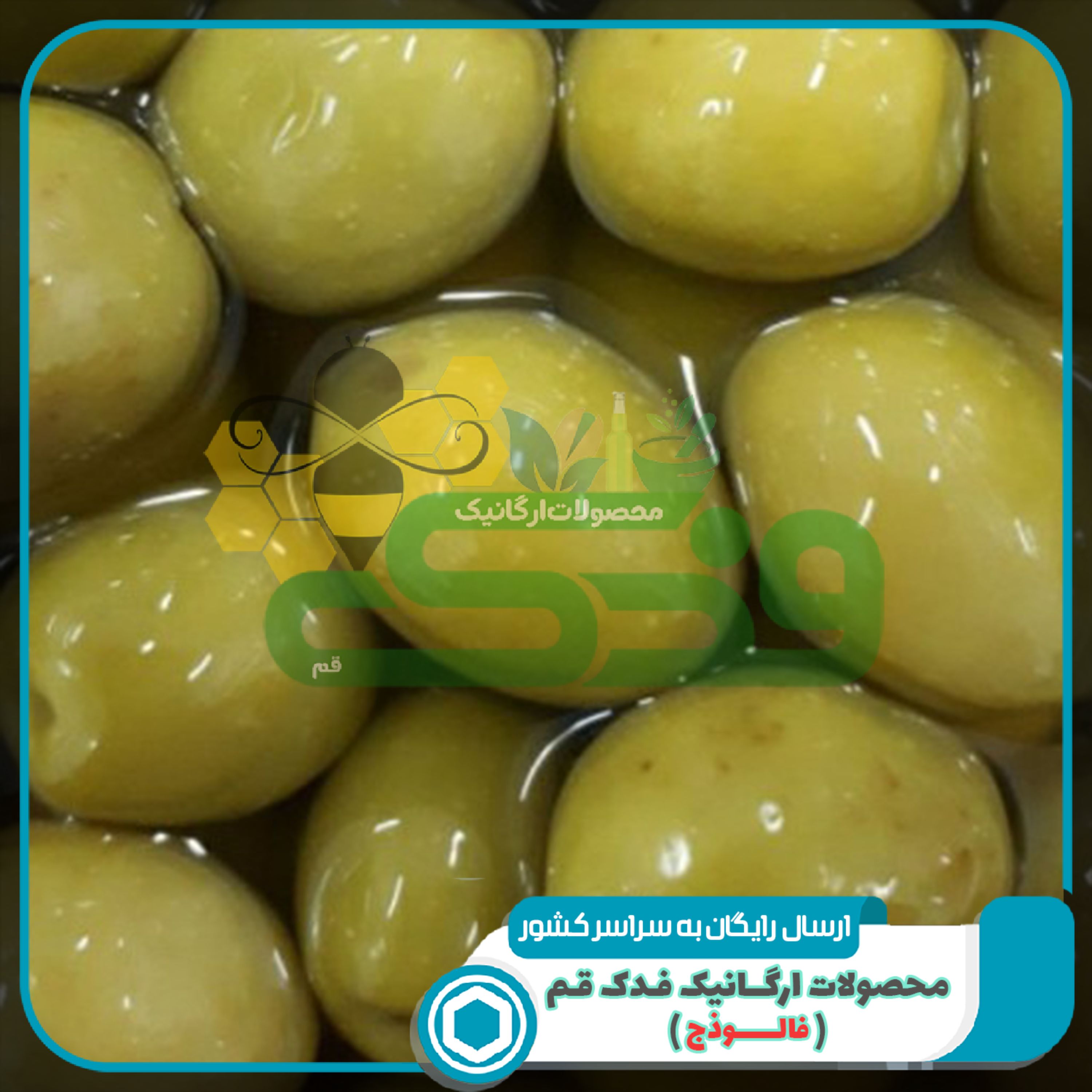 زیتون ویژه طارم بدون هسته فدک (500 گرم)