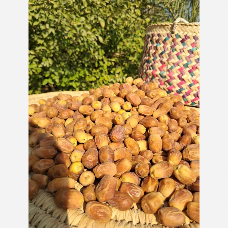 خرما زاهدی