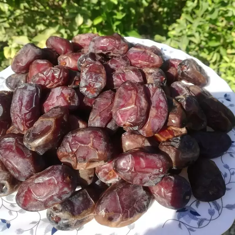 خرما کبکاب شکلاتی