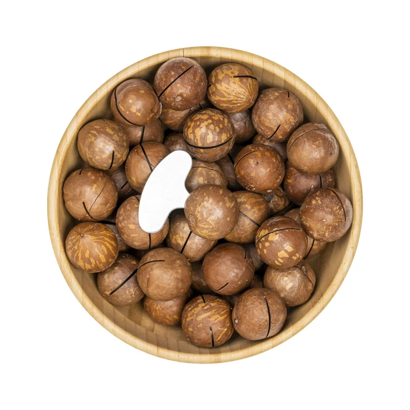 ماکادمیا با پوست سایز لارج عمده  کارتن  5کیلویی