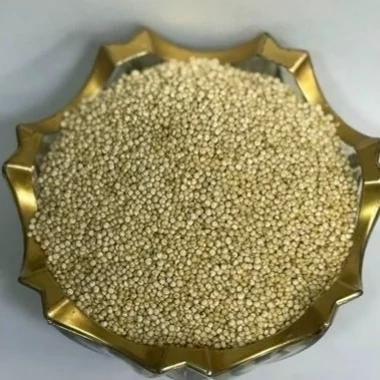 کینوآ 100گرمی
