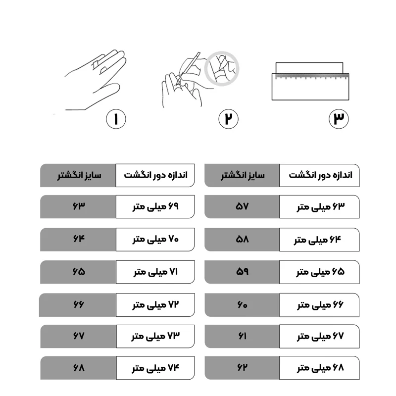 انگشتر مردانه آماتیست کد 2906