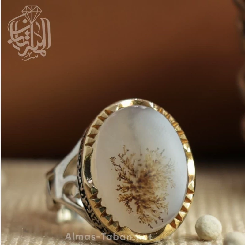 انگشتر مردانه عقیق شجر کد 2869