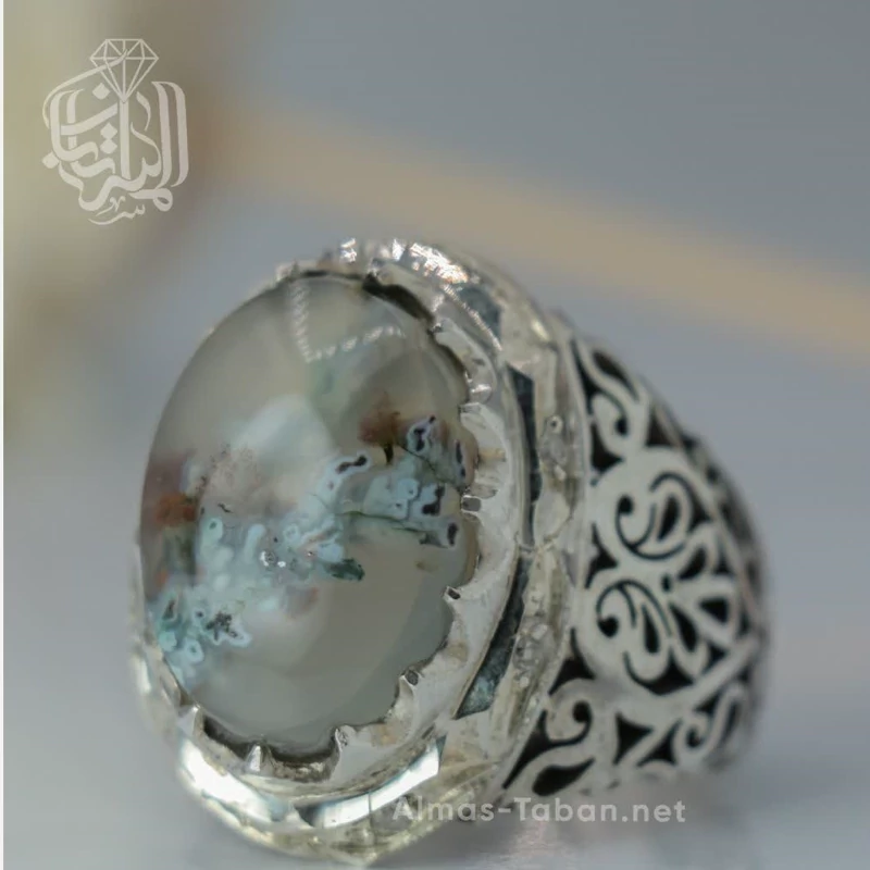 انگشتر مردانه عقیق شجر کد 2860