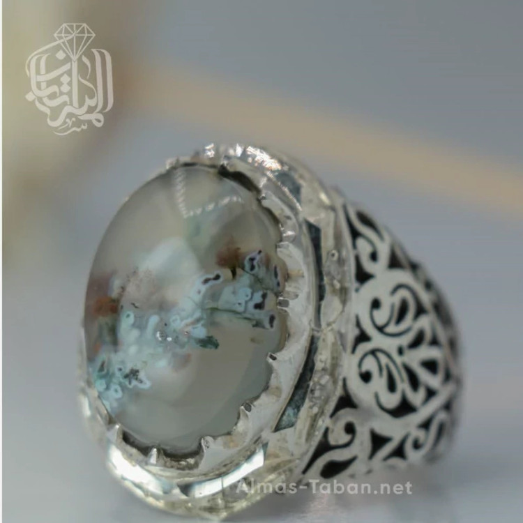 انگشتر مردانه عقیق شجر کد 2860