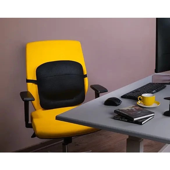 پشتی طبی باراد مدل Ls1 با 3 سال گارانتی