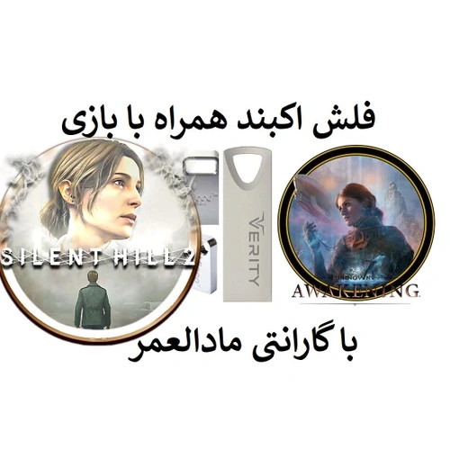 فلش مموری همراه با بازی سایلنت هیل 2 برای کامپیوتر Silent Hill 2