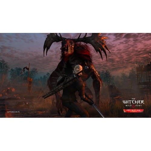 فلش 64 گیگ با بازی The Witcher 3 Wild Hunt