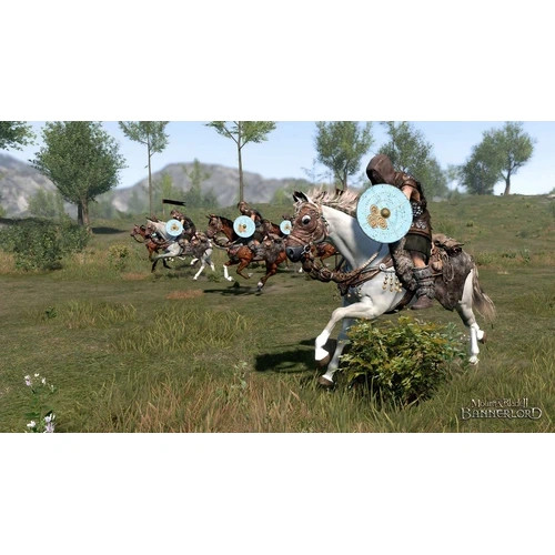 فلش 64 گیگ با بازی Mount and Blade II Bannerlord
